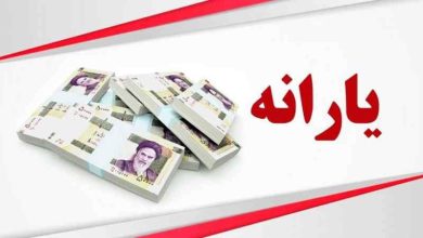 نحوه جدا کردن یارانه اعضای خانواده از سرپرست +فیلم 5 نحوه جدا کردن یارانه اعضای خانواده از سرپرست +فیلم