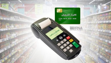 شرایط افزایش کالابرگ اعلام شد 4 شرایط افزایش کالا برگ چگونه است
